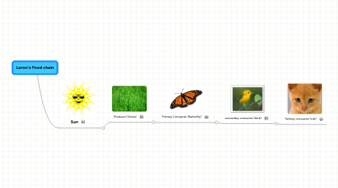 Mind Map: Loron's Food chain