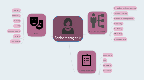 Mind Map: Senior Manager