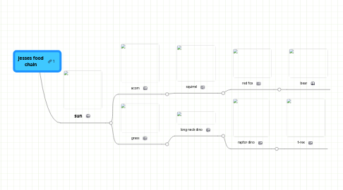 Mind Map: jesses food chain