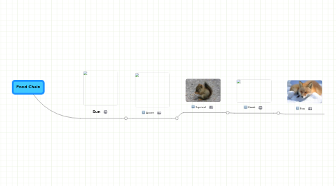 Mind Map: Food Chain