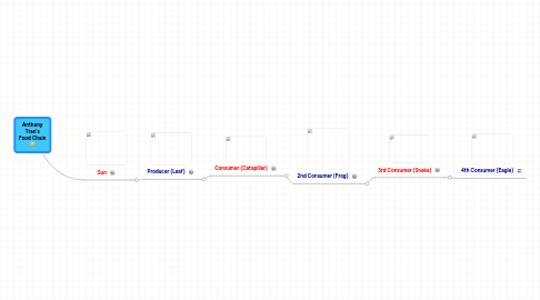 Mind Map: Anthony Tran's Food Chain :)