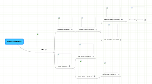 Mind Map: Soup's Food Chain