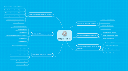 Mind Map: Project Plan