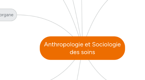 Mind Map: Anthropologie et Sociologie des soins