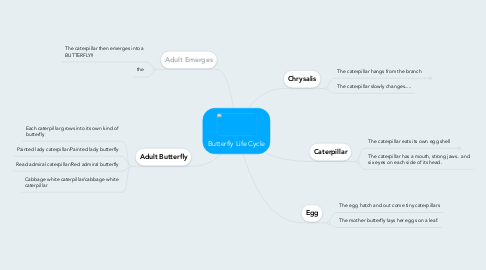 Mind Map: Butterfly Life Cycle