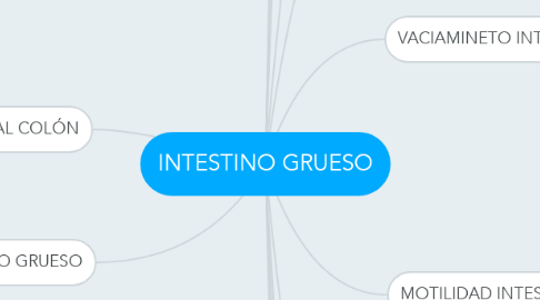 Mind Map: INTESTINO GRUESO