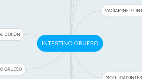 Mind Map: INTESTINO GRUESO