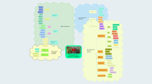 Mind Map: Різноманітність  рослин у природі