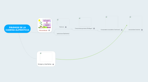 Mind Map: PIRÁMIDE DE LA CADENA ALIMENTICIA