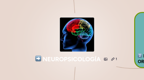 Mind Map: NEUROPSICOLOGÍA