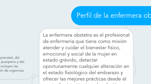 Mind Map: Perfil de la enfermera obstetra