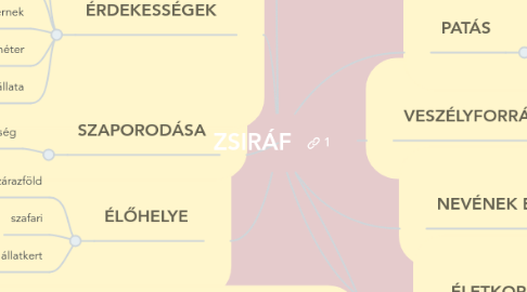 Mind Map: ZSIRÁF