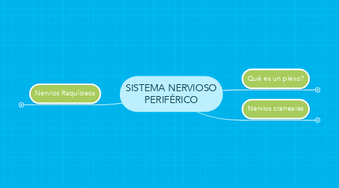 Mind Map: SISTEMA NERVIOSO PERIFÉRICO