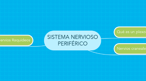 Mind Map: SISTEMA NERVIOSO PERIFÉRICO