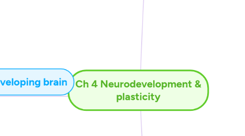 Mind Map: Ch 4 Neurodevelopment & plasticity