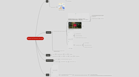 Mind Map: Reason for Tensions in the gulf