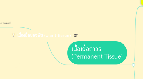 Mind Map: เนื้อเยื่อของพืช (plant tissue)