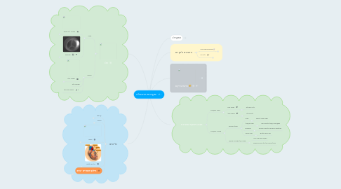 Mind Map: מערכת ההובלה