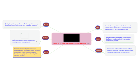 Mind Map: TEKKE VE TASAVVUF EDEBİYATI NAZIM ŞEKİLLERİ