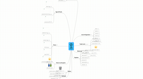 Mind Map: Emily Castillo's Mind Map Vocab Project