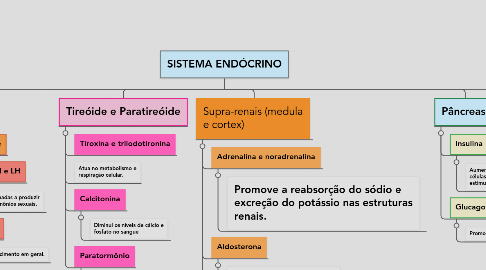 Mind Map: SISTEMA ENDÓCRINO