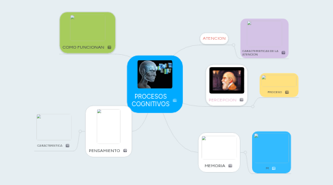 Mind Map: PROCESOS COGNITIVOS
