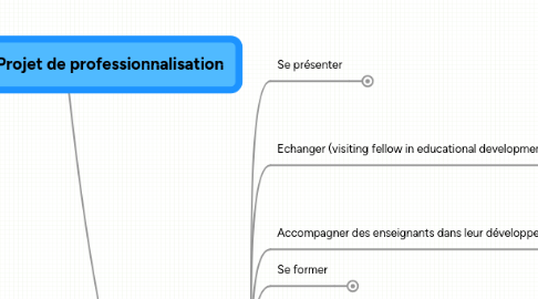 Mind Map: Fr. Georges - Projet de professionnalisation