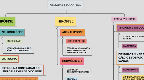 Mind Map: Sistema Endócrino