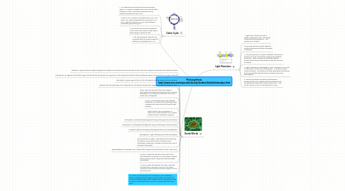 Mind Map: Photosynthesis http://www.emc.maricopa.edu/faculty/farabee/biobk/biobookps.html