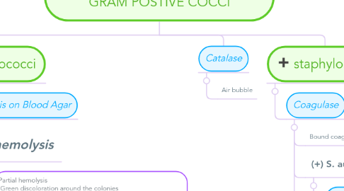 Mind Map: IDENTIFICATION OF UNKNOWEN GRAM POSTIVE COCCI