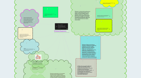 Mind Map: El Sistema Respiratorio.