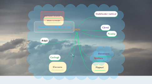 Mind Map: AVION