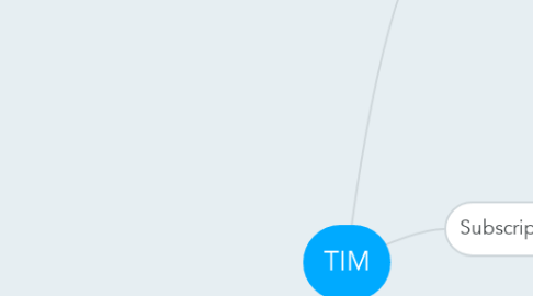 Mind Map: TIM