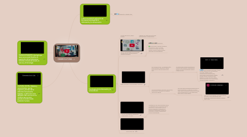 Mind Map: CIBERCULTURA