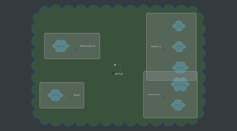 Mind Map: MI PLE