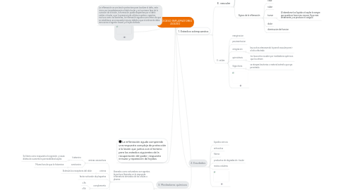 Mind Map: PROCESO INFLAMATORIO AGUDO