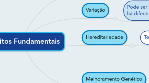 Mind Map: Conceitos Fundamentais