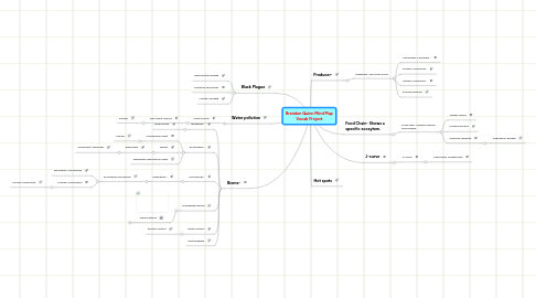 Mind Map: Brendon Quinn Mind Map Vocab Project