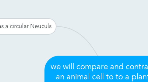 Mind Map: we will compare and contrast an animal cell to to a plant cell