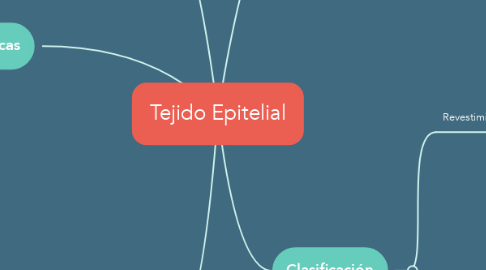 Mind Map: Tejido Epitelial