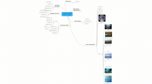 Mind Map: Collyn Dorney's Mind Map Vocab Project