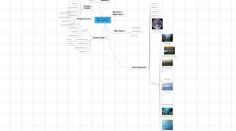 Mind Map: Collyn Dorney's Mind Map Vocab Project