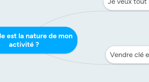 Mind Map: Quelle est la nature de mon activité ?