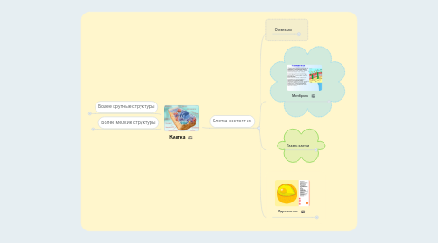 Mind Map: Клетка