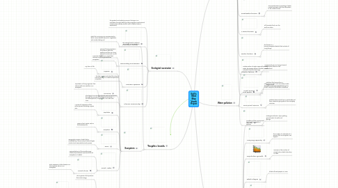 Mind Map: Kelli's Mind Map Vocab Project