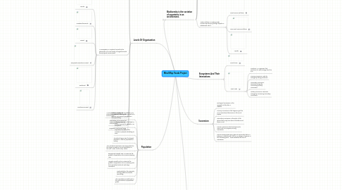 Mind Map: Mind Map Vocab Project