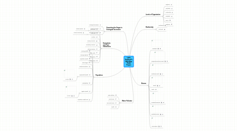 Mind Map: Lydia Stepanoff's Mind Map Vocab Project