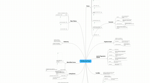 Mind Map: Mind Map Vocab Project