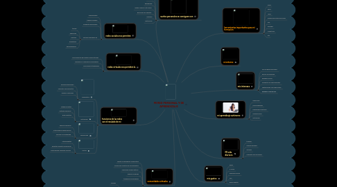 Mind Map: MI RED PERSONAL Y DE APRENDIZAJE