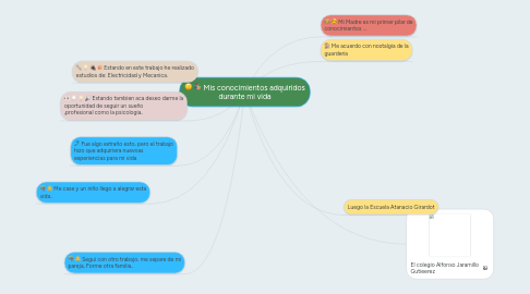 Mind Map: Mis conocimientos adquiridos durante mi vida